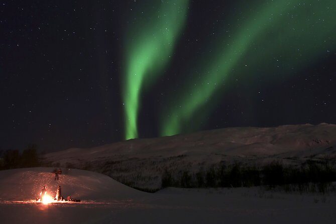 Reindeer feeding & Saami Culture with chance for Northern Lights - Group size, waiting time, and how to avoid the common frustration
