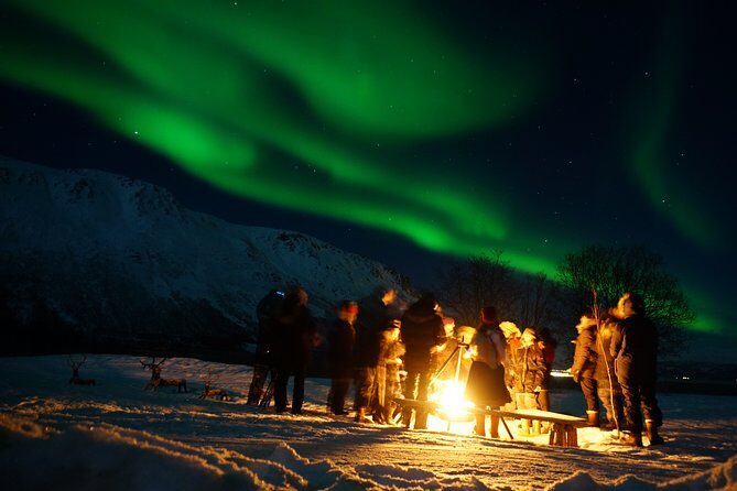 Reindeer feeding & Saami Culture with chance for Northern Lights - Entering the Sámi reindeer camp: what “close” actually feels like
