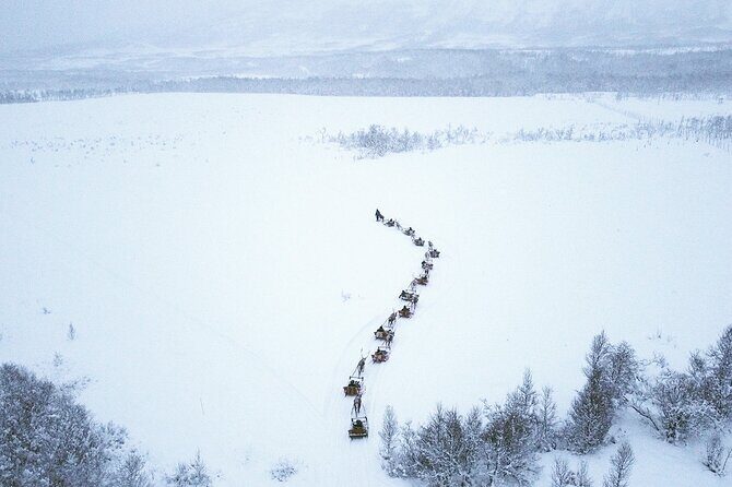 Reindeer Sledding and Feeding with Sami Culture in Tromso. - Key things to know before you go