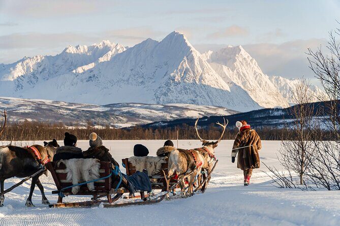 Reindeer Sledding and Feeding with Sami Culture in Tromso. - Tromsø Lapland: start time, ride to the camp, and what to wear