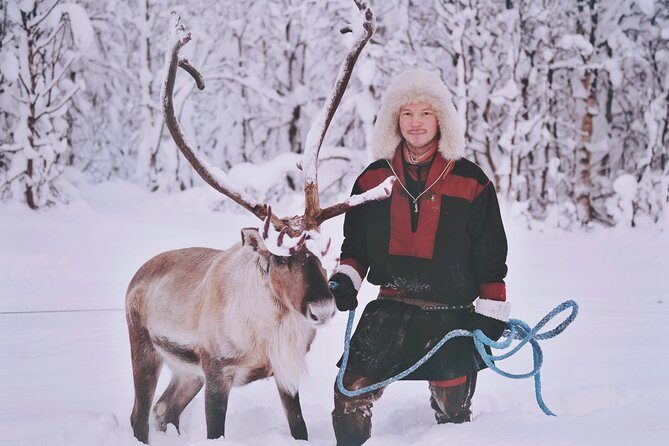 Reindeer Sledding and Feeding with Sami Culture in Tromso. - Sámi culture in a heated lavvu/cabin setting: what you should listen for