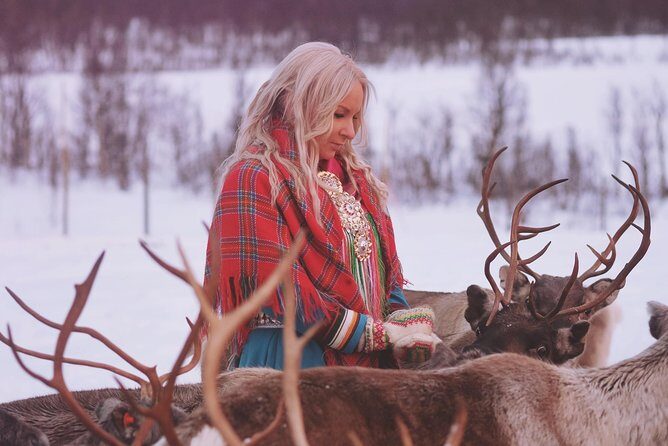 Reindeer Sledding and Feeding with Sami Culture in Tromso. - Group size, pacing, and smoothness: the good and the occasional friction