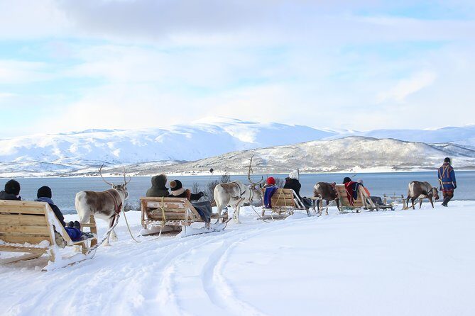 Reindeer Sledding Experience and Sami Culture Tour from Tromso - What to wear so the cold doesn’t steal your joy