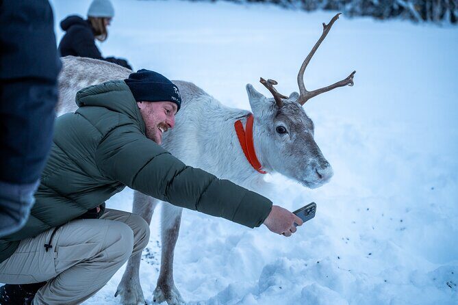 Reindeer Sledding, Feeding And Sami Culture At Reindeer Farm - Price and Value: When It Makes Sense (and When It Doesn’t)