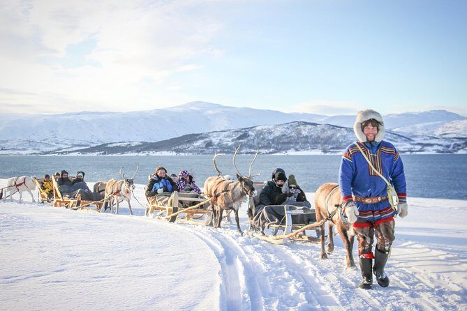 Sami Culture and Short Reindeer Sledding from Tromso - From Prostneset to the Sami camp: the drive, the setup, and the vibe