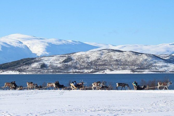 Sami Culture and Short Reindeer Sledding from Tromso - Inside the lavuu: coffee, bidos soup, and lunch by the fire