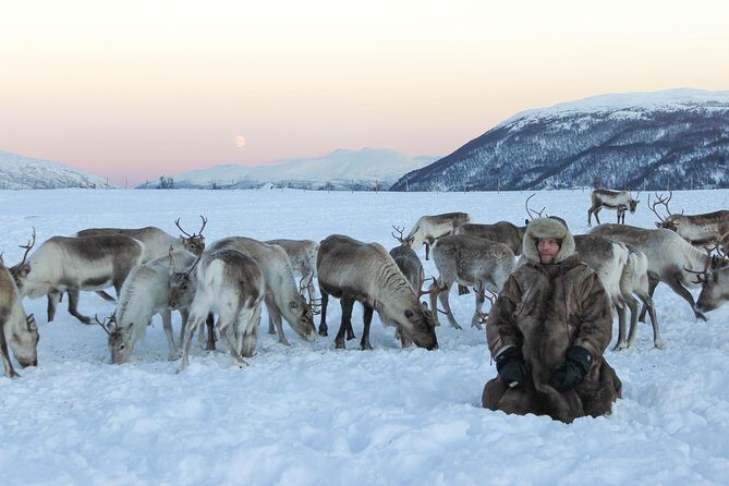 Sami Culture and Short Reindeer Sledding from Tromso - Sami stories and joik by the fire: the cultural part that people remember