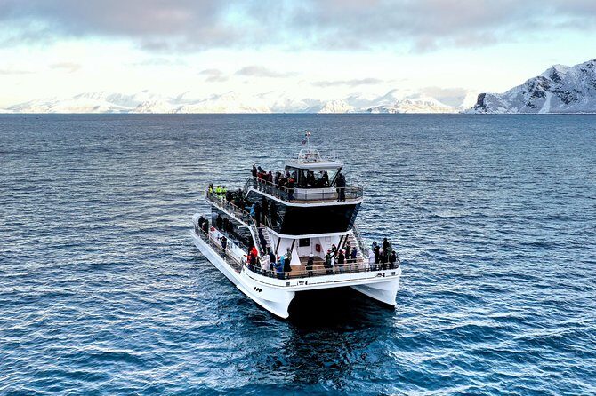 Silent Whale Watching by Hybrid-Electric Boat from Tromsø - Silent motor, serious whale-watching ethics in Tromsø