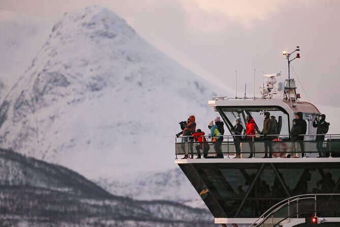 Silent Whale Watching by Hybrid-Electric Boat from Tromsø - Should you book silent whale watching from Tromsø?