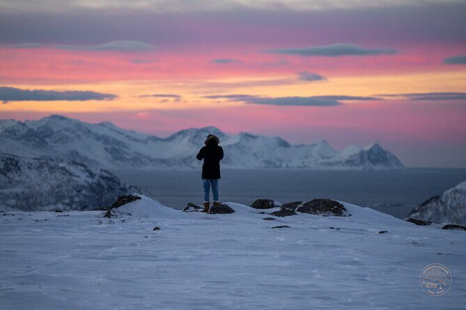 Small Group Arctic Fjords Road trip with Scenic Picnic - Key things that make this tour worth your time