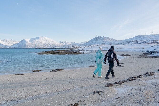 Small Group Arctic Fjords Road trip with Scenic Picnic - Kvaløya stop: frozen lakes, Arctic beaches, and fjord views