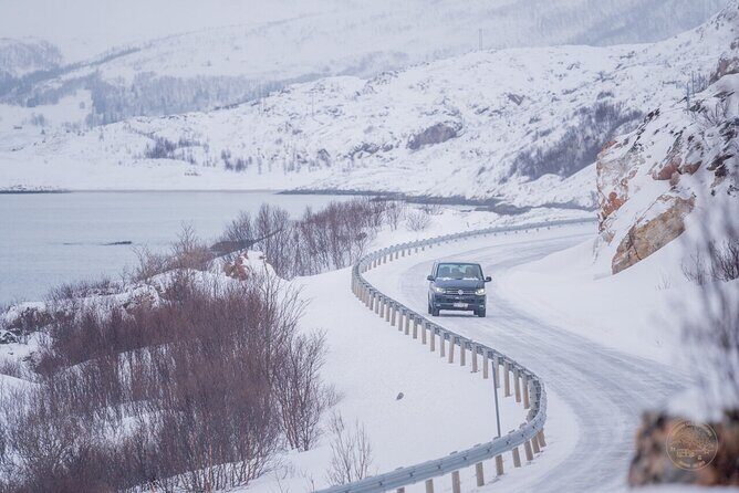 Small Group Arctic Fjords Road trip with Scenic Picnic - The scenic picnic: vegan-friendly, warm drinks, and an easy meal win