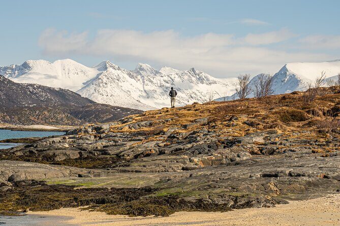 Small Group Arctic Fjords Road trip with Scenic Picnic - Meeting point and timing: start at 9:30 am, back in the same spot