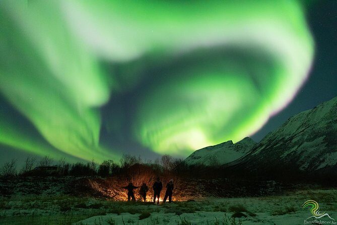 Small-Group Northern Lights Tour from Tromso with Photos - Staying Warm for Real: Thermal Suits, Bonfires, and Quick Photo Moments