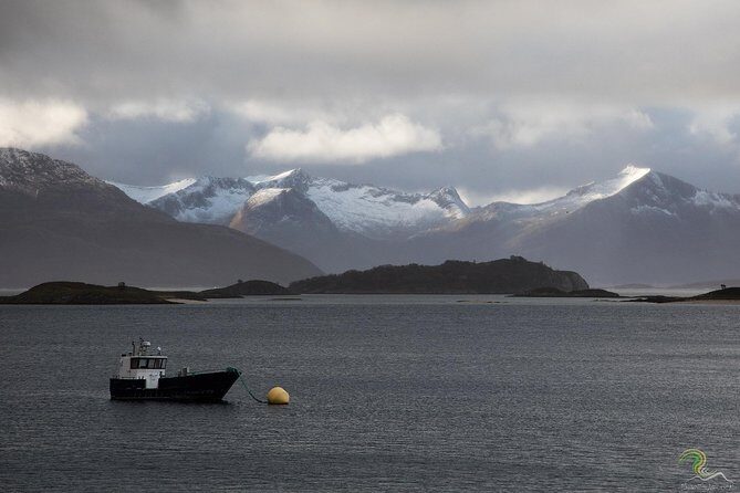 Small-Group Norwegian Fjords Tour from Tromso with Photos - Why a driving fjord tour from Tromsø beats driving yourself