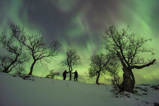Small Group Quest to find the Northern Lights in Tromsø - The weather-first strategy: why locations can change