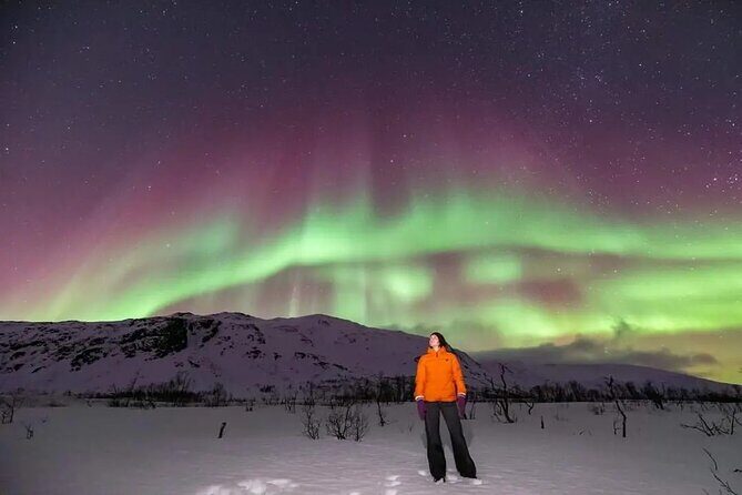 Small Group Tromsø: Northern Lights Chase with Photos and Dinner - What to do with your expectations (and your camera)
