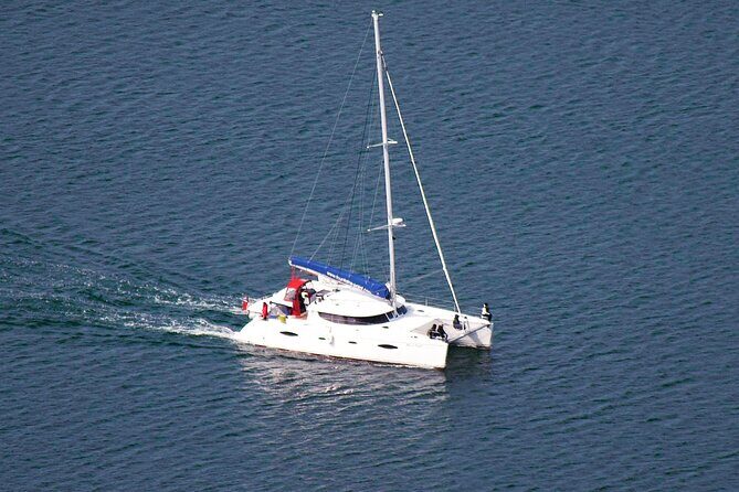 Snorkeling with Orcas In Norway, 4 days All-Inclusive expedition - Why a catamaran floating hotel matters in Arctic whale country