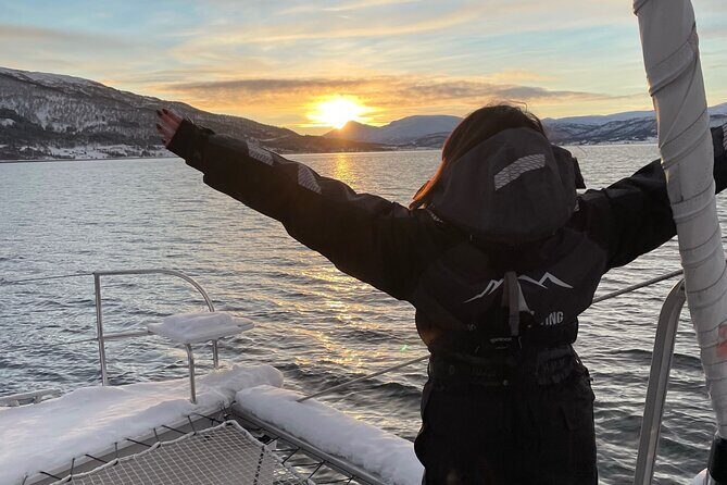Snorkeling with Orcas In Norway, 4 days All-Inclusive expedition - Safety first: how the crew keeps big animals and swimmers separate