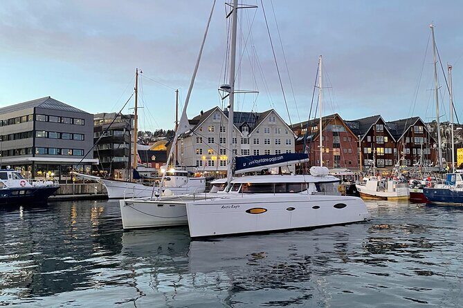 Snorkeling with Orcas In Norway, 4 days All-Inclusive expedition - Weather and route changes: what you should be mentally ready for