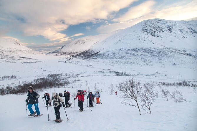 Snowshoe Hill Hike in Tromsø - Key points I’d pencil into your plan