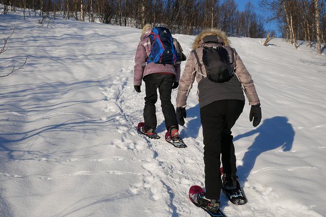 Snowshoeing With A View - What’s Included (and What You Must Bring) for a 5-Hour Winter Hike