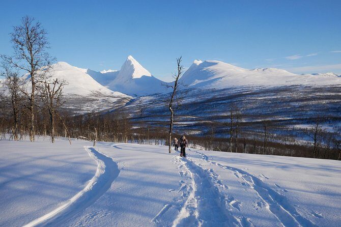 Snowshoeing With A View - Price and Value: Is $166.14 for Tromsø Snowshoeing Fair?