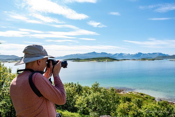 Summer Fjord Road Trip with Citizen Science with Wandering Owl - Picnic Lunch on the Beach: Vegan Options and Gluten-Free on Request