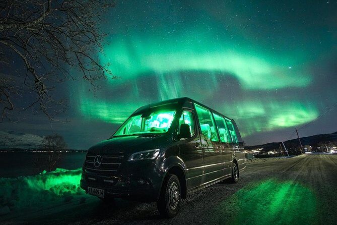 Symphony - Arctic Breeze, teamining up with nature. - The bus setup and the glass-roof confusion