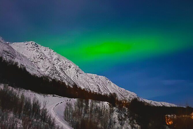 The Aurora Tour - small group, northern lights - Campfire warmth: marshmallows, hot drinks, and why it matters