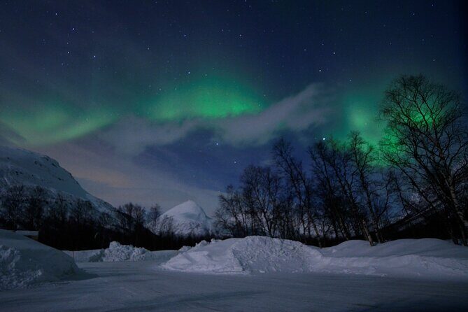 The Aurora Tour - VIP trip for northern lights, aurora borealis - Pickup, VIP expectations, and what “private” means in the real world