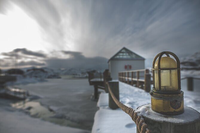 Tour of the authentic fjords of Kvaløya - Price, group size, and whether it beats renting a car