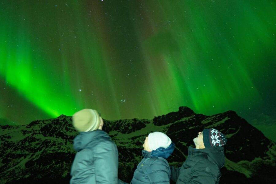 Tromsø Adventurous Northern Lights Small-Group - Wilderness viewing spots: dark skies beat roadside stops
