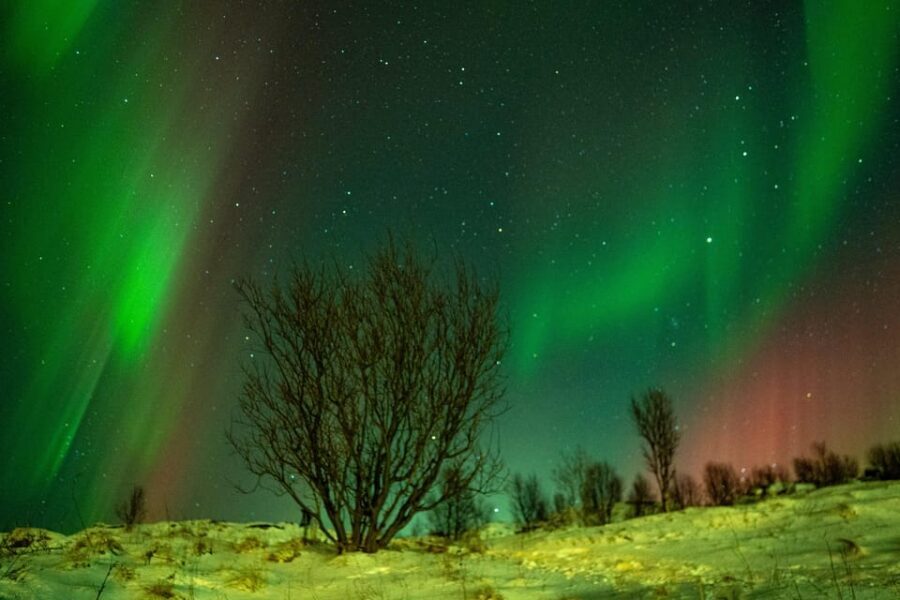 Tromsø Adventurous Northern Lights Small-Group - Timing, weather changes, and how long you’ll be out