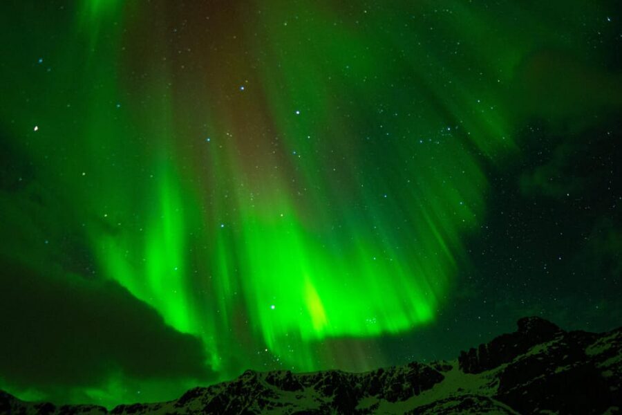 Tromsø Adventurous Northern Lights Small-Group - The minibus chase: how you hunt Aurora without giving up comfort