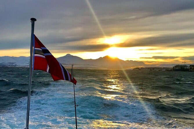 Tromsø: Arctic Fjord Cruise & Fishing Experience - Wildlife Spotting With a Guide (Not Just a Luck Test)