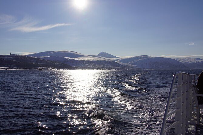 Tromsø: Arctic Fjord Cruise & Fishing Experience - Fishing Breaks: How It Works and What to Expect