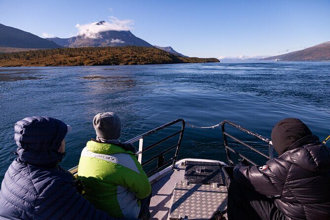 Tromsø: Arctic Fjord Cruise & Fishing Experience - Guides and Crew: The Energy That Turns It From Tour to Experience