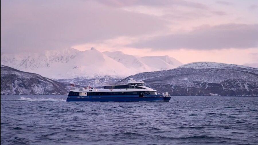 Tromsø: Arctic Fjord Cruise in Polar Landscapes - From city streets to polar fjords: the route out of Tromsø