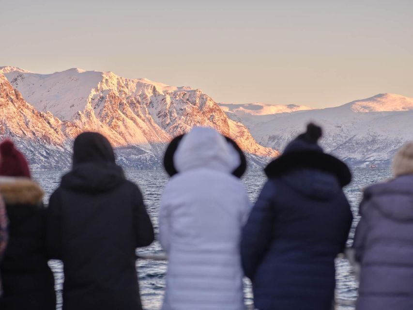 Tromsø: Arctic Fjord Cruise in Polar Landscapes - The view “tempo”: when to be inside vs. outside