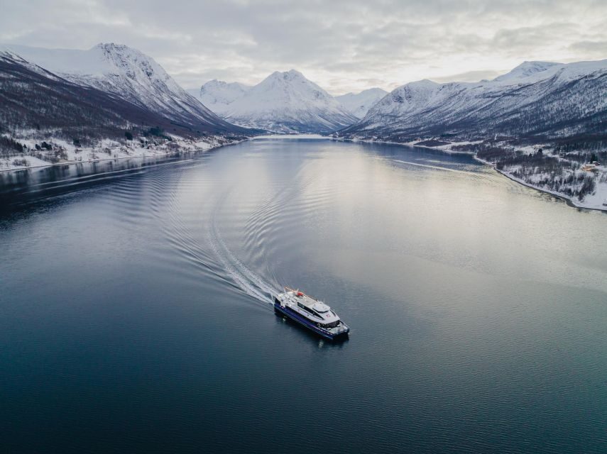 Tromsø: Arctic Fjord Cruise in Polar Landscapes - The captain’s ice call: why routes can change