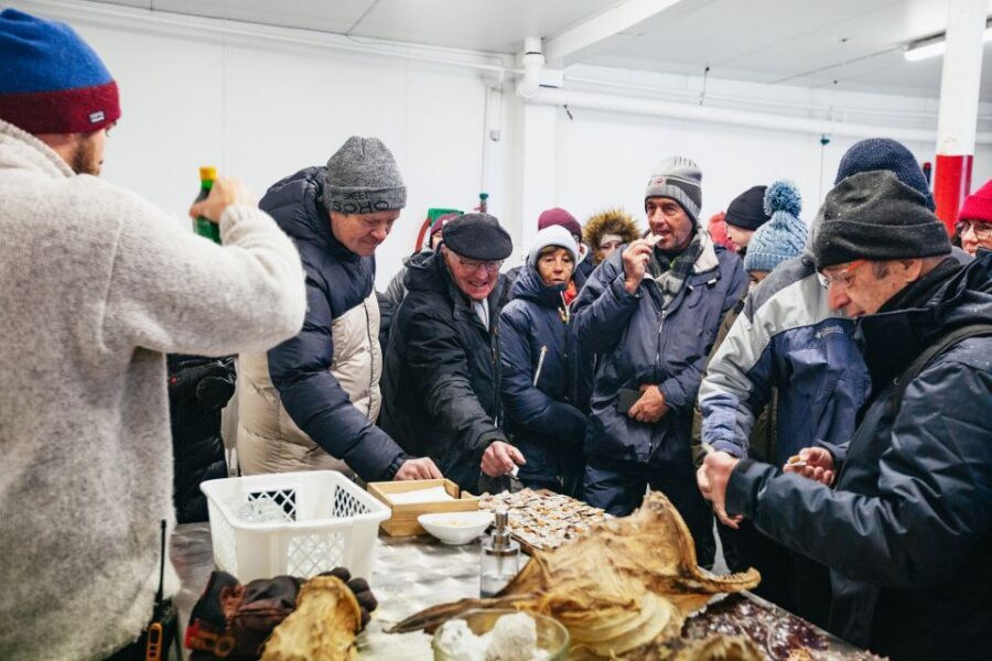 Tromsø: Arctic Fjord Cruise With Stop On Land At Fish Racks - Guides, Commentary, and the Value of a Real Interpreter