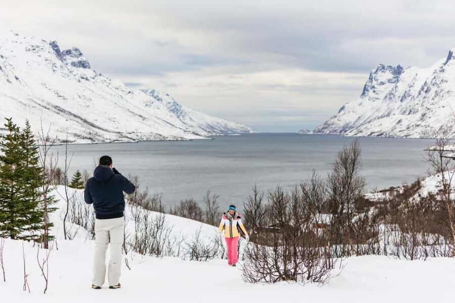 Tromsø: Arctic Landscape and Fjord Tour with Snacks - Key moments that make this tour worth it