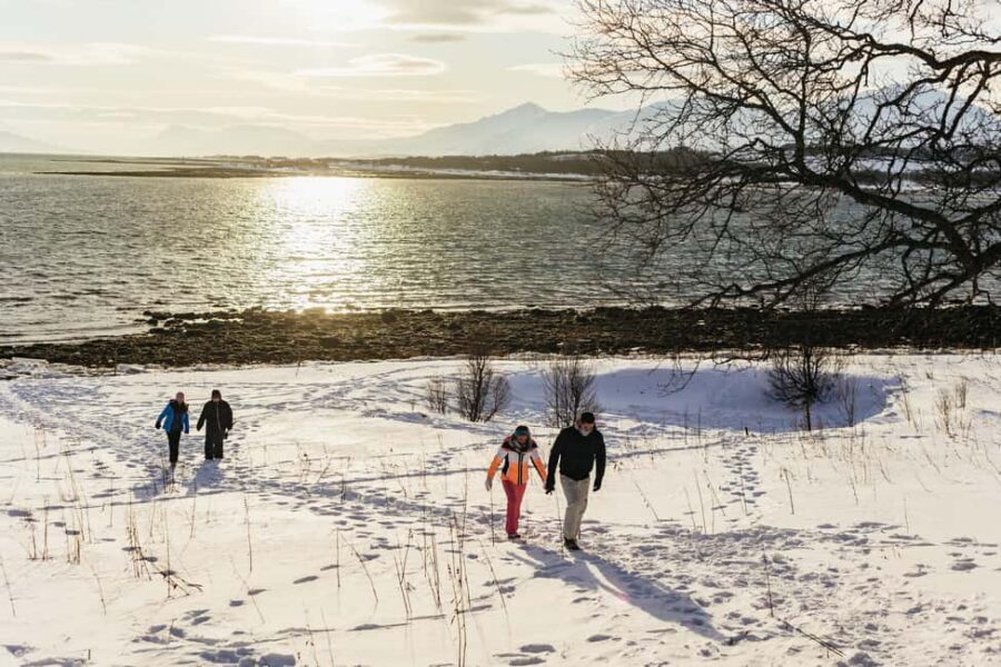 Tromsø: Arctic Landscape and Fjord Tour with Snacks - Who should book this tour (and who should skip it)