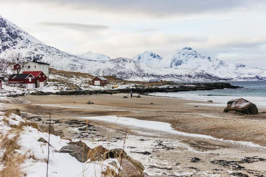 Tromsø: Arctic Landscape and Fjord Tour with Snacks - Arctic fjord views from Tromsø, done in a 5-hour van loop
