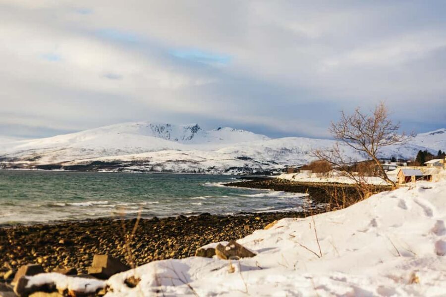 Tromsø: Arctic Landscape and Fjord Tour with Snacks - Wildlife in the Arctic: what you can realistically hope for