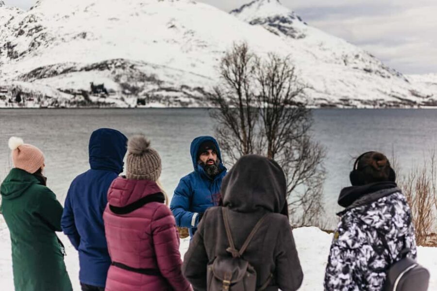 Tromsø: Arctic Landscape and Fjord Tour with Snacks - Hot chocolate, lefse cake, and why the snack timing works