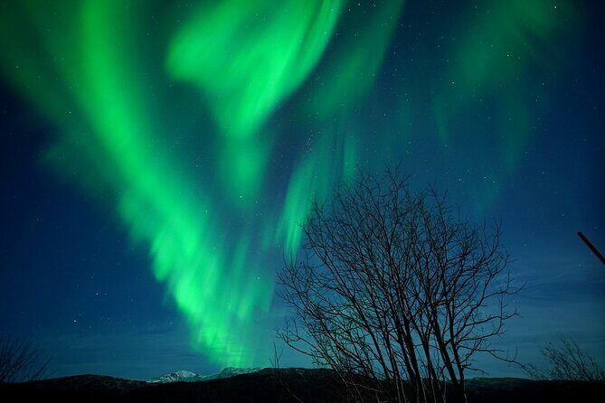Tromso Aurora Chase by Minibus with Thermal Suit, Snack and Photo - How Aurora Chasing Actually Works From Tromsø