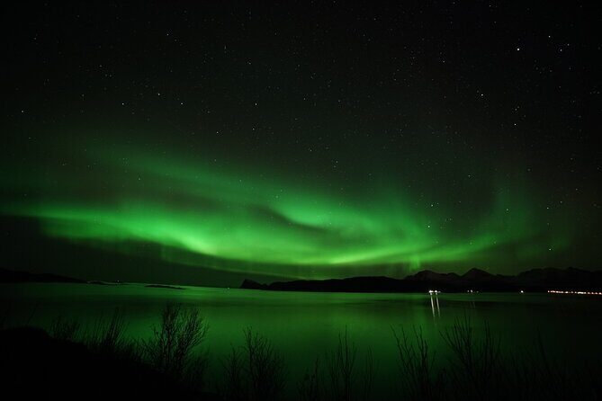 Tromso Aurora Chase by Minibus with Thermal Suit, Snack and Photo - Timing and duration: what your night will feel like