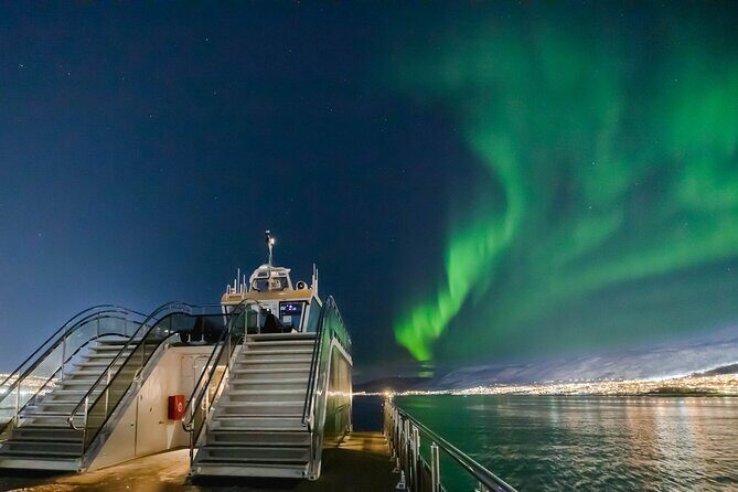Tromso Aurora Cruise with 3-Course Dinner - Key Things I’d Watch For